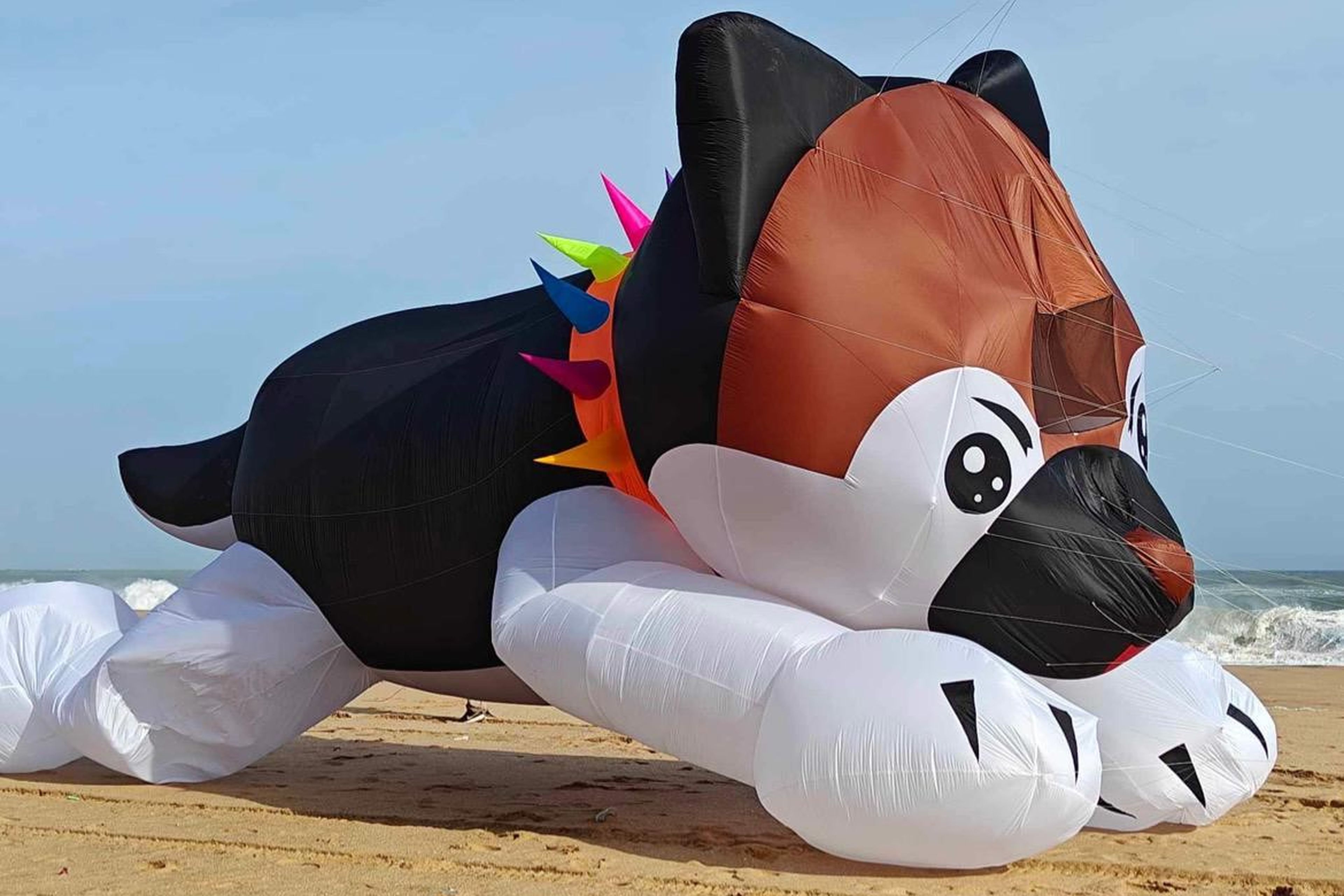 Auf dem Foto ist ein riesiger Lenkdrachen in Form eines gefleckten Hundes mit buntem Stachelhalsband zu sehen. Im Hintergrund sieht man einen Strand.