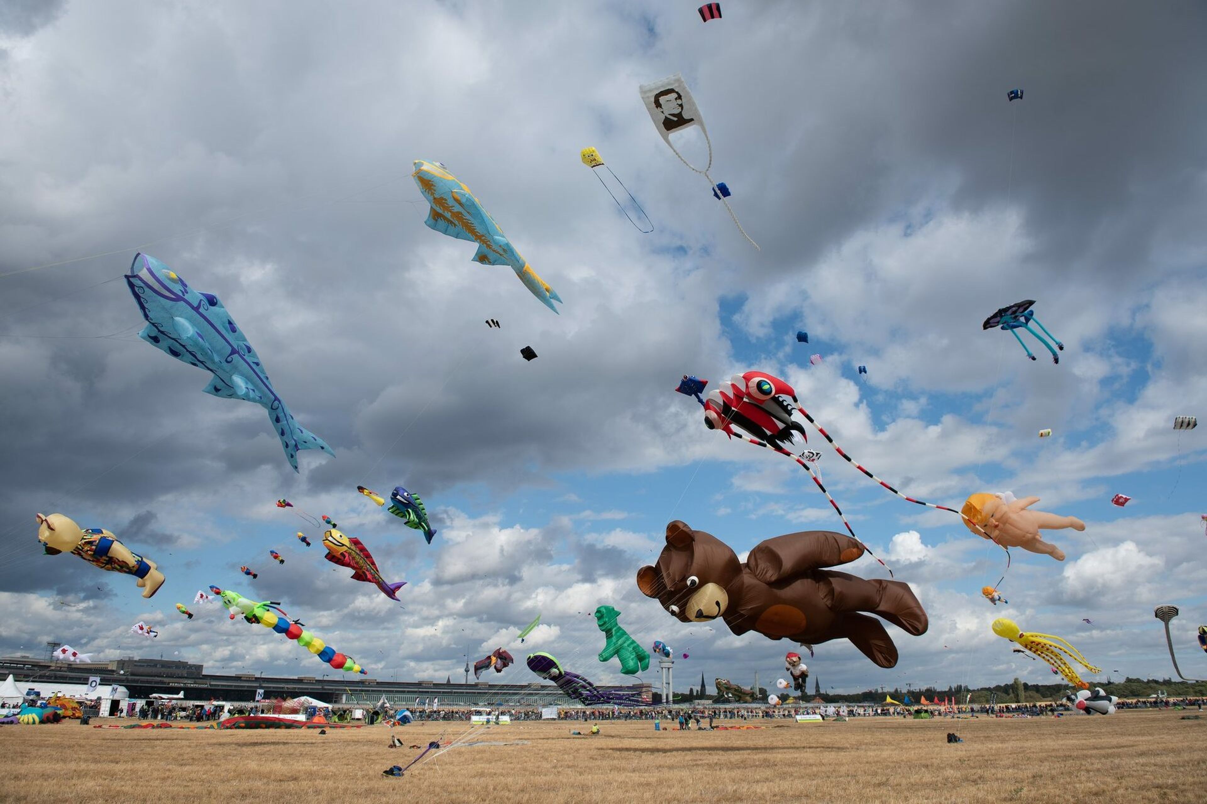 7. STADT UND LAND-Festival der RIESENDRACHEN auf dem Tempelhofer Feld
