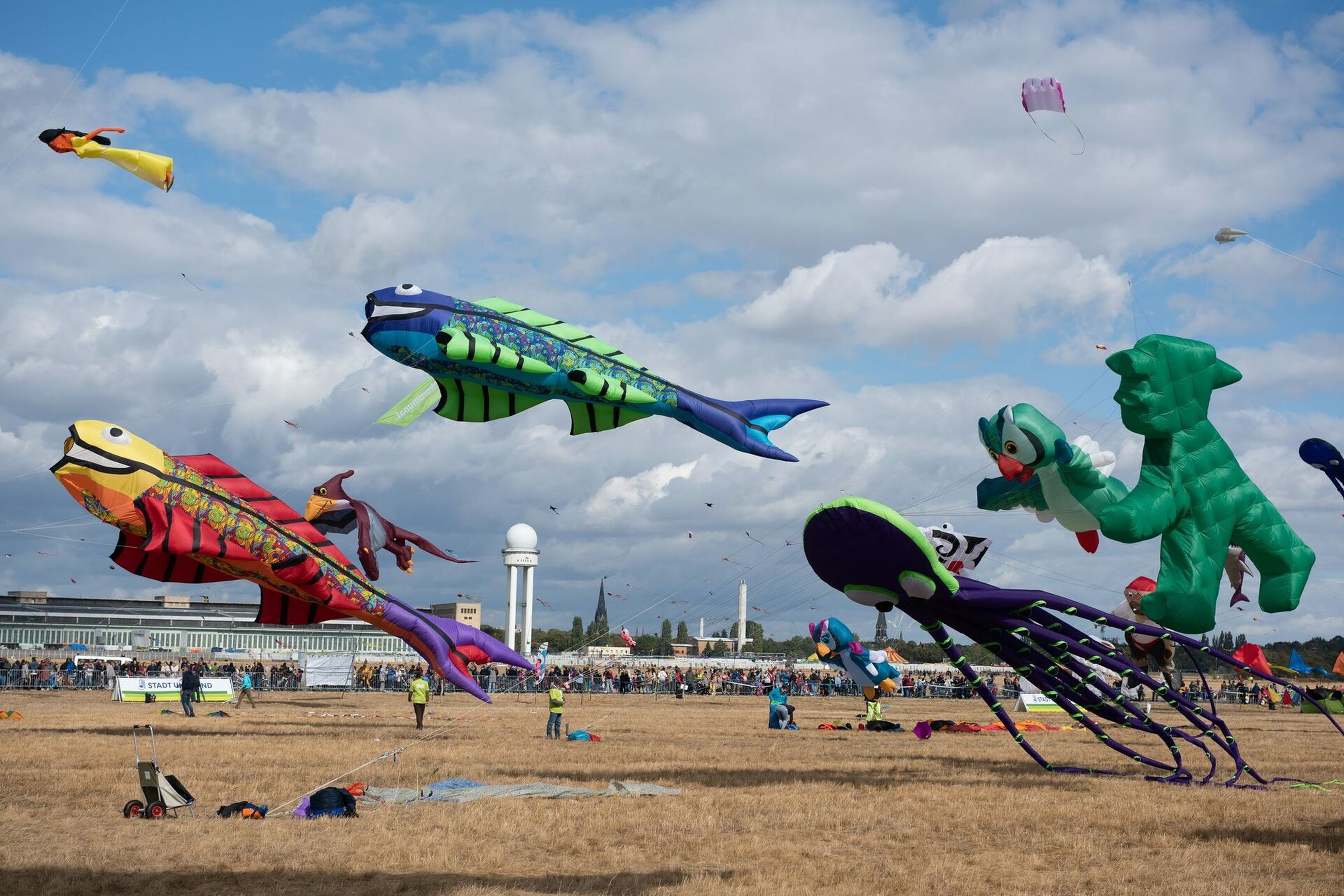 7. STADT UND LAND-Festival der RIESENDRACHEN auf dem Tempelhofer Feld