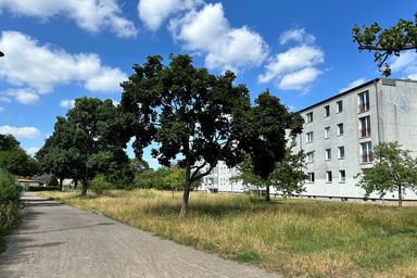 A paved path lined with trees runs alongside a grassy area and a multi-story concrete apartment building under a blue sky with scattered clouds.