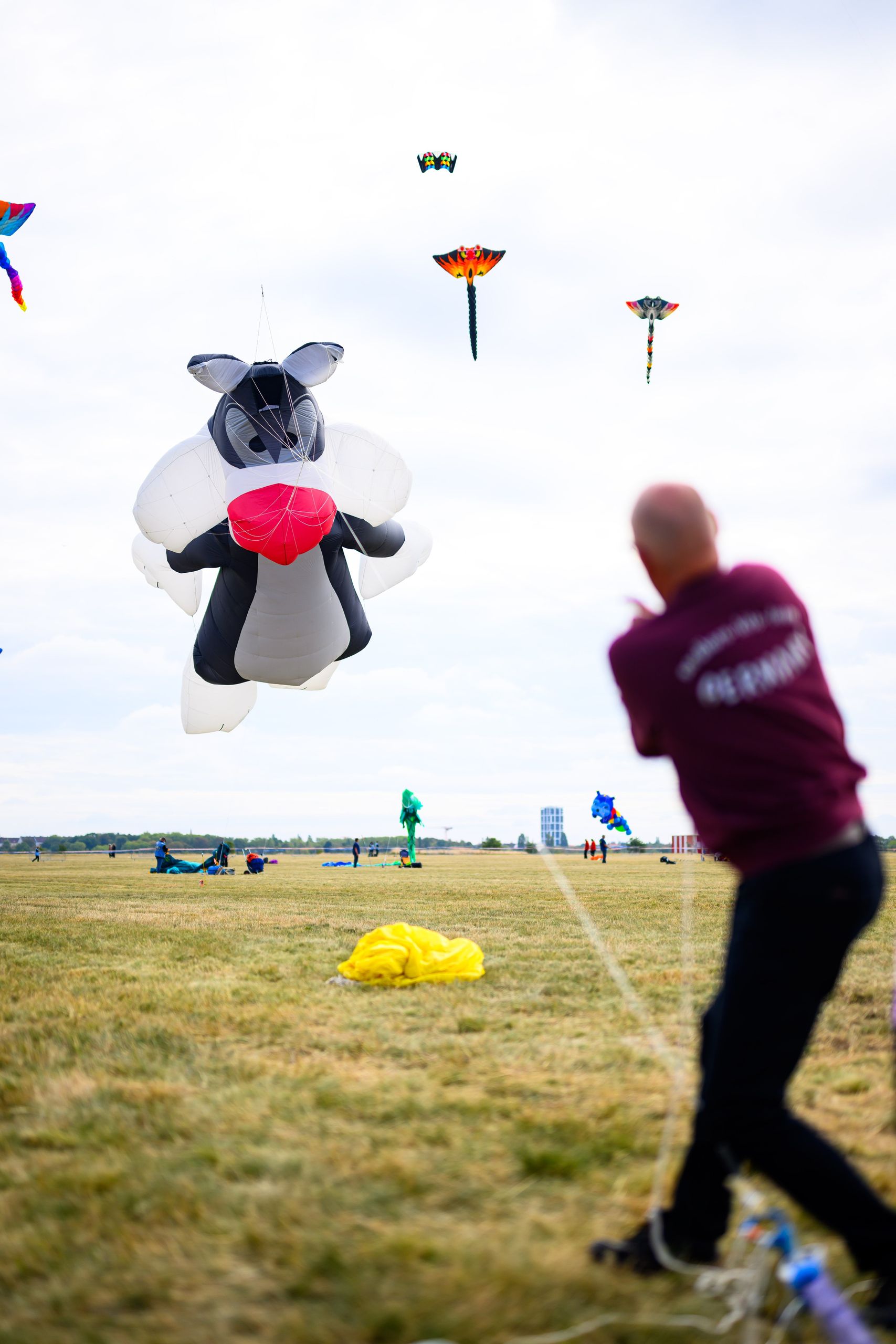 Person flying a large cartoon skunk kite in a grassy field, with other colorful kites in the sky and people in the background.