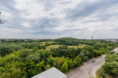 Blick von oben auf eine grüne Parklandschaft mit Hügeln und einer Straße rechts, unter bewölktem Himmel.
