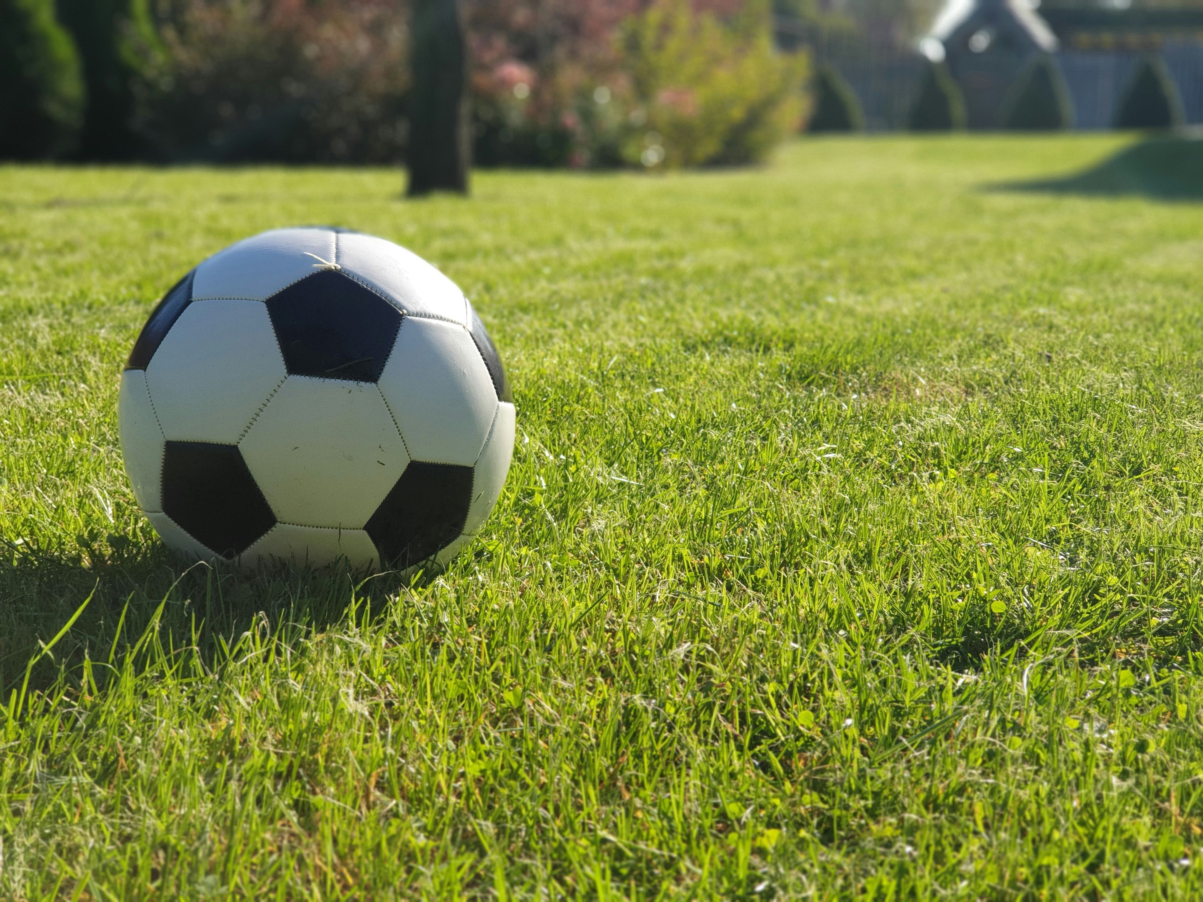 Fußball auf Wiese