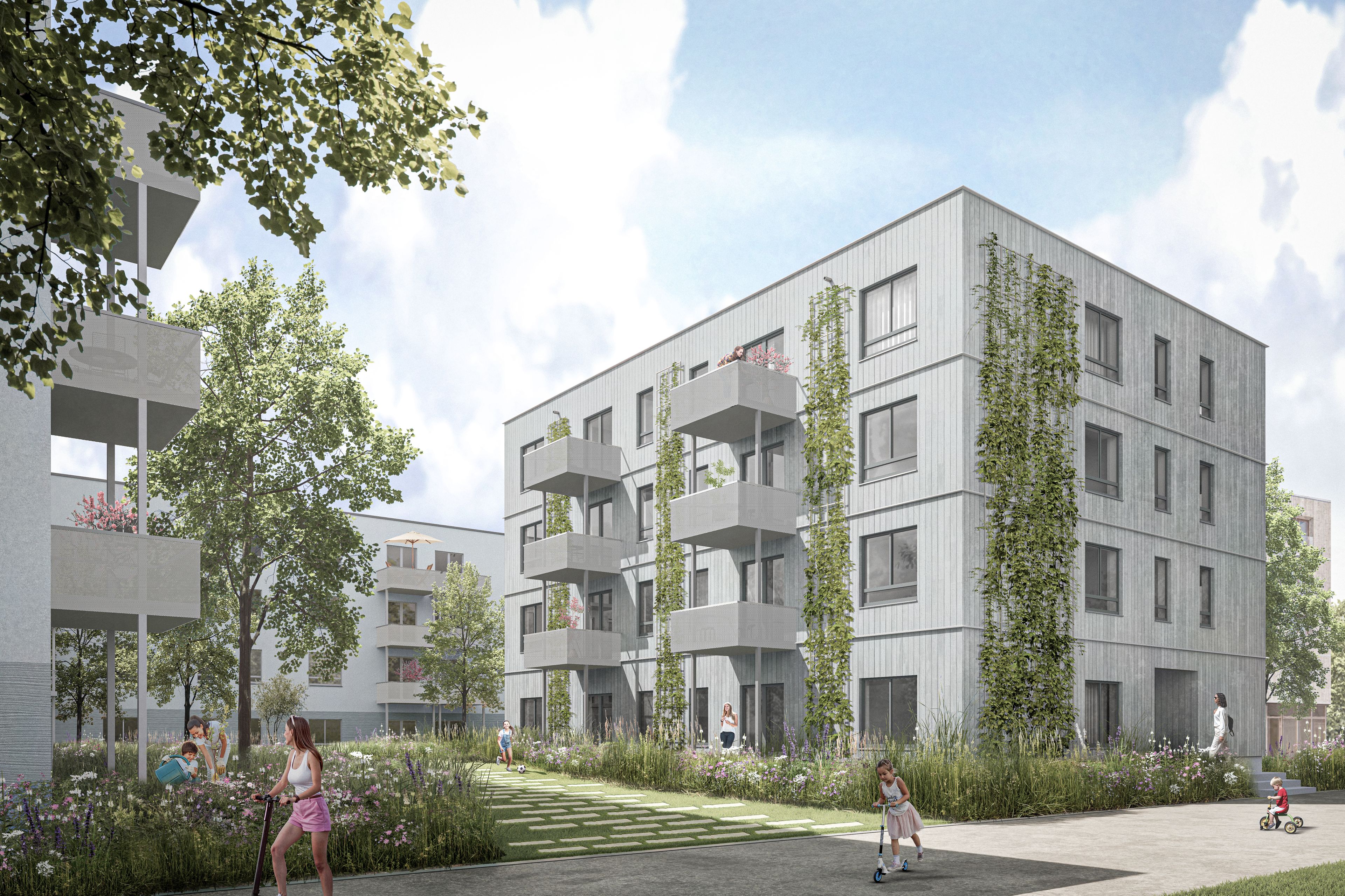 Rendering Typenhaus Eco Buckower Felder