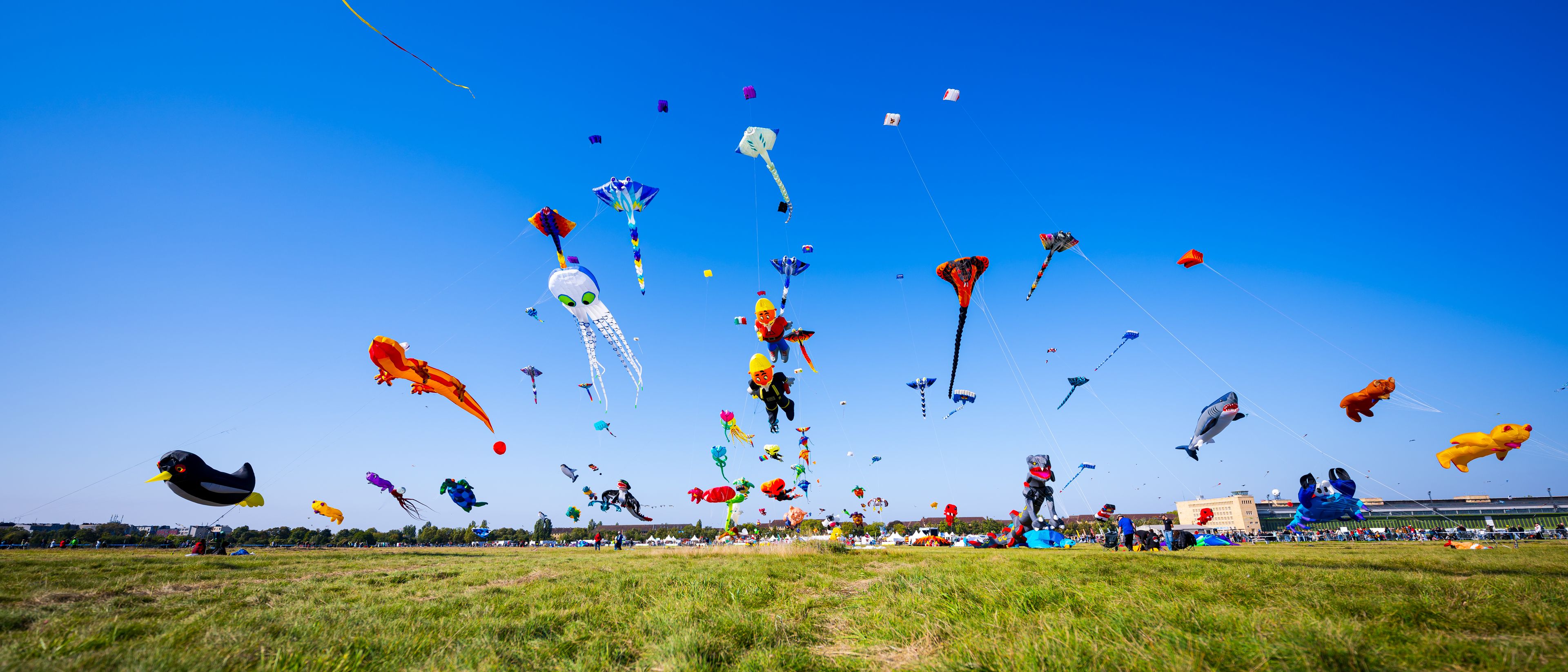 Festival der RIESENDRACHEN 2025