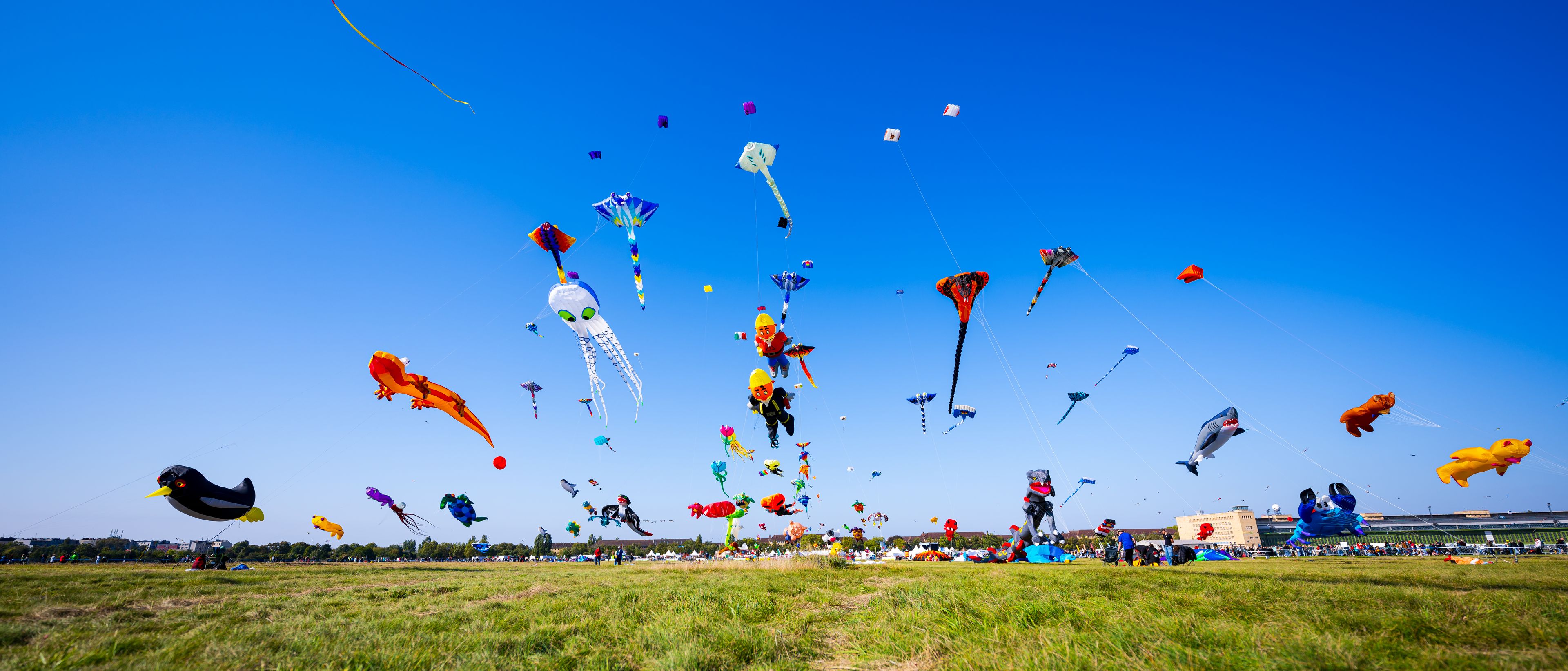 Festival der RIESENDRACHEN 2025