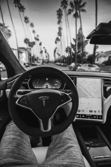Vista en blanco y negro desde el interior de un automóvil Tesla, que muestra el volante y la pantalla táctil, con palmeras a lo largo del camino.