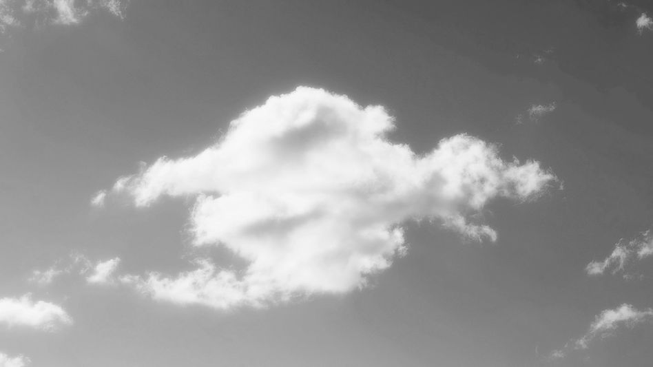 Un nuage duveteux en forme de tortue flotte dans un ciel clair et gris.