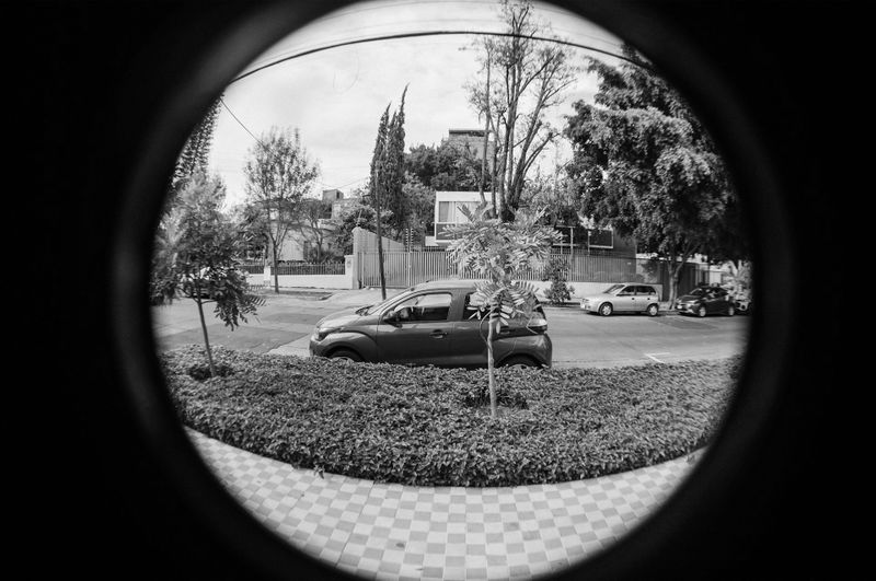 Vue en noir et blanc au fisheye d’une rue avec une voiture stationnée, des arbres et un trottoir carrelé.