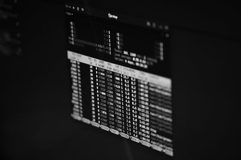 Schwarz-weißes Bild eines Computerbildschirms, der Systemleistungsdaten und numerische Statistiken anzeigt, mit einem dunklen Hintergrund.