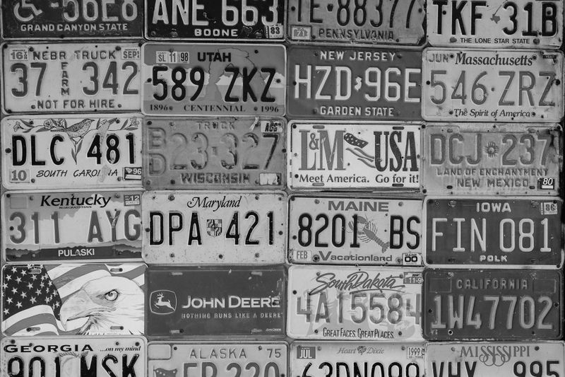 fotografía en blanco y negro que muestra una docena de matrículas estadounidenses probablemente colocadas en la pared