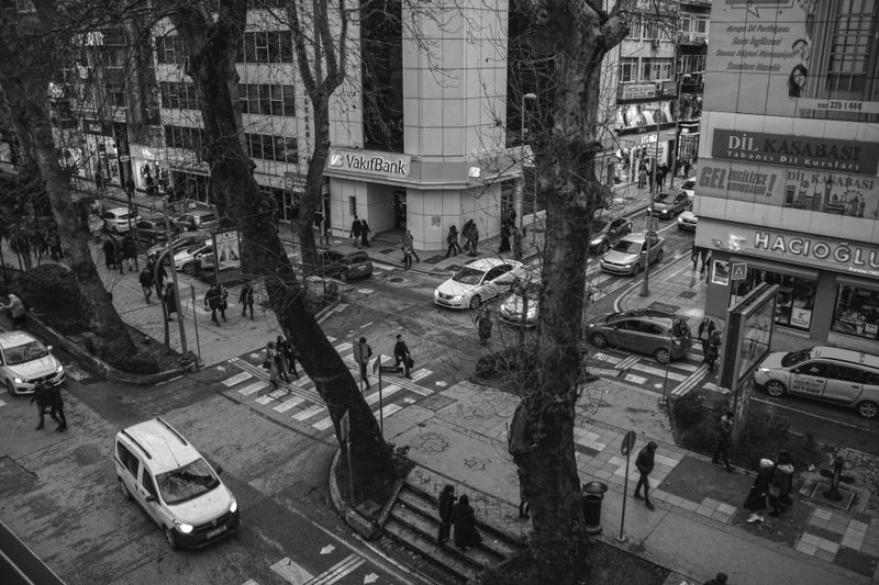 Une scène urbaine animée en noir et blanc, avec des piétons, des voitures et de grands immeubles. Des arbres sans feuilles bordent le trottoir.