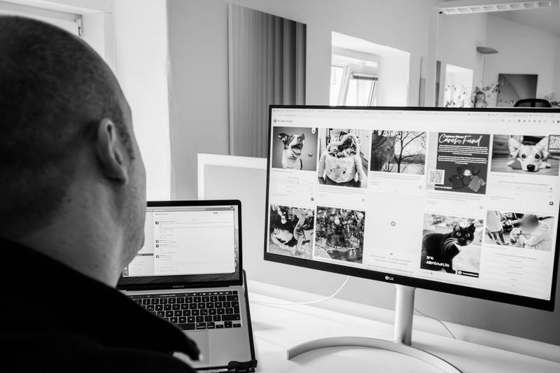 Person at a desk viewing cat photos on a large monitor and using a laptop in a bright office.