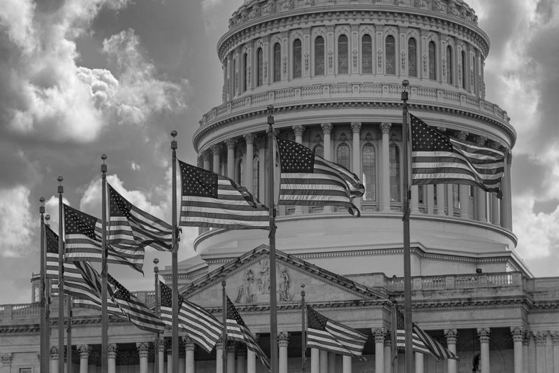 Black and white image of the U.S. Capitol dome with multiple American flags waving in the foreground under a cloudy sky.
