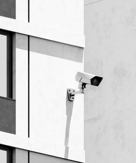 Image en noir et blanc d’une façade de bâtiment moderne avec une caméra de surveillance et une plante feuillue à côté d’une porte fermée.