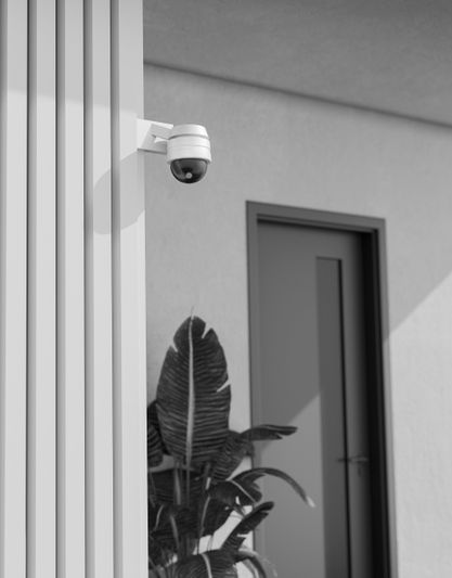 fotografía en blanco y negro de la fachada de una casa y una pared que simula madera, en la que cuelga una cámara de vigilancia; en el fondo se ve una planta con hojas grandes