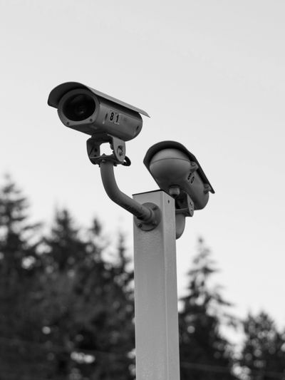 Black and white image of two mounted security cameras on a pole, with blurred trees in the background.