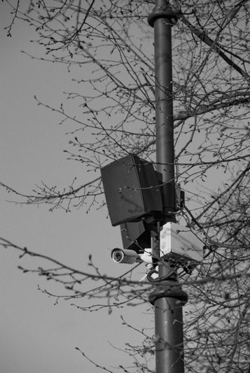 Black and white image of a security camera mounted on a pole surrounded by bare tree branches.