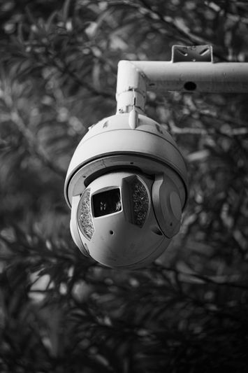 A black and white image of a dome-shaped security camera mounted on a metal arm, surrounded by blurred foliage.