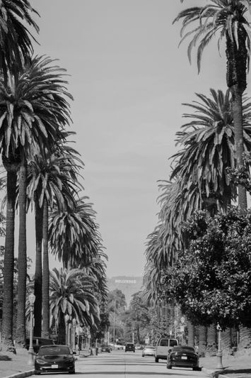 Rue bordée de palmiers menant au lointain panneau Hollywood, avec des voitures garées des deux côtés. Noir et blanc.