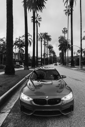 Un elegante BMW estacionado en una calle bordeada de palmeras bajo un cielo nublado, creando un ambiente clásico de Los Ángeles en blanco y negro.