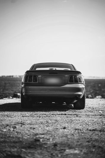 black-and-white photo of the back of a car with a blurred license plate