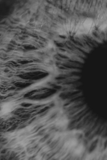 Image en gros plan en noir et blanc d'un œil, montrant des motifs d'iris complexes et des textures détaillées entourant la pupille.
