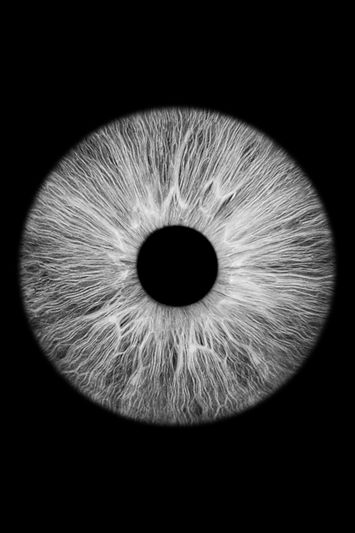 Close-up of a monochrome iris with intricate radial patterns and textures, resembling a detailed grayscale abstract design.