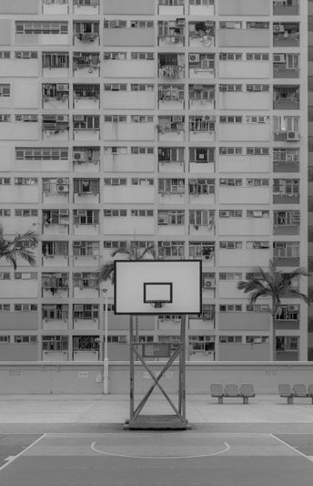 Un panier de basket monochrome se dresse devant un immeuble d’habitation de grande hauteur, encadré par des palmiers.