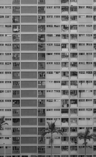 Photo en noir et blanc d’un immeuble résidentiel de grande hauteur à façade quadrillée, avec des palmiers au pied du bâtiment.