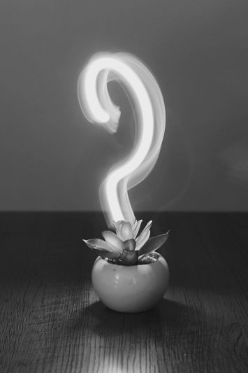 Una pequeña planta en maceta sobre una mesa de madera emite una luz blanca brillante y giratoria en forma de signo de interrogación sobre un fondo oscuro.