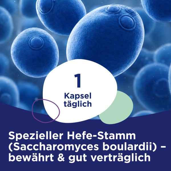 Blue yeast cells, labeled with "1 Kapsel täglich," and text about a specific yeast strain, Saccharomyces boulardii.