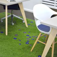 Beyeler Optik Basel 3