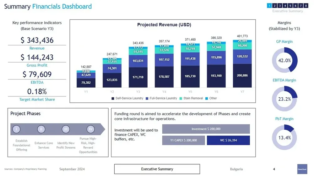 laundromat business plan financial dashboards