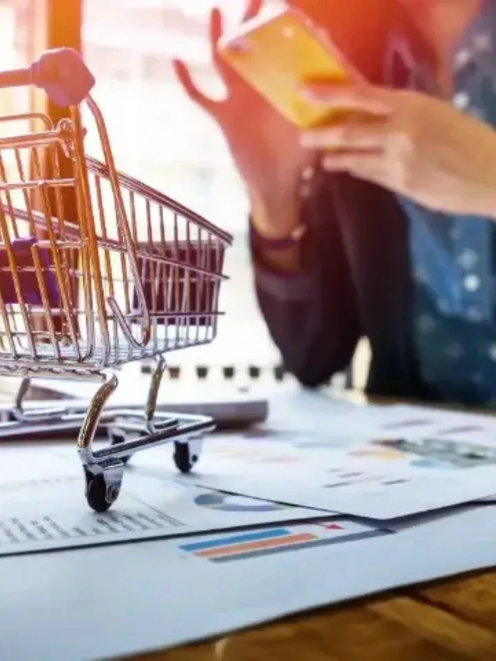 Ecommerce Business Plan Template