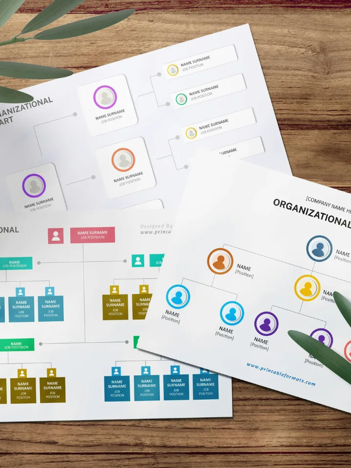 Business Plan for a SaaS Startup