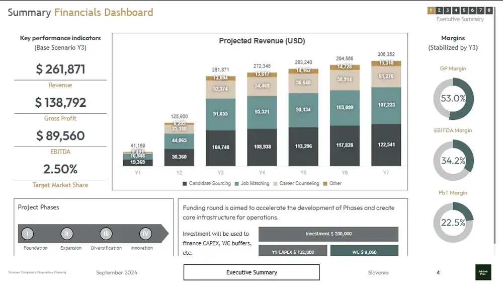 employment agency business plan template financials summary