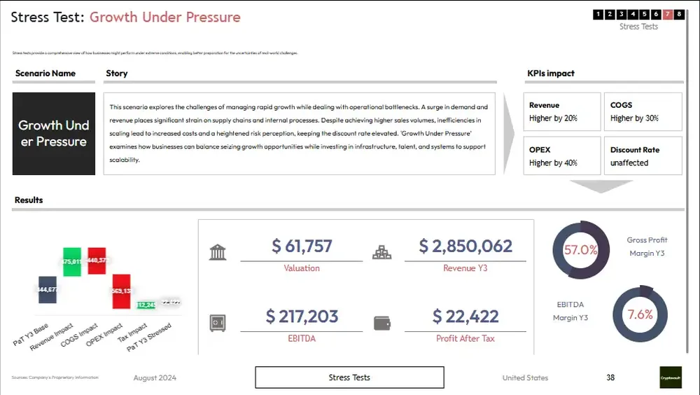 crypto business plan template stress test
