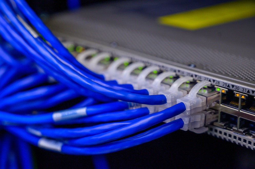 Close-up of multiple blue Ethernet cables connected to a network switch, with activity lights indicating data transmission.