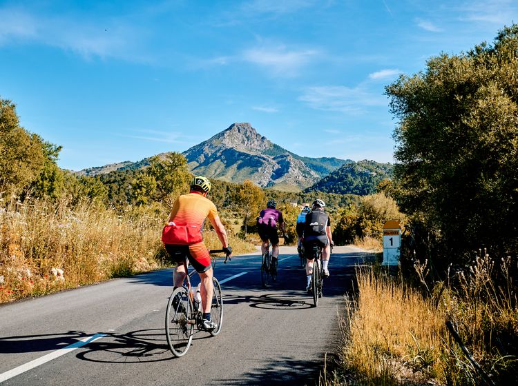 Radinsel Mallorca