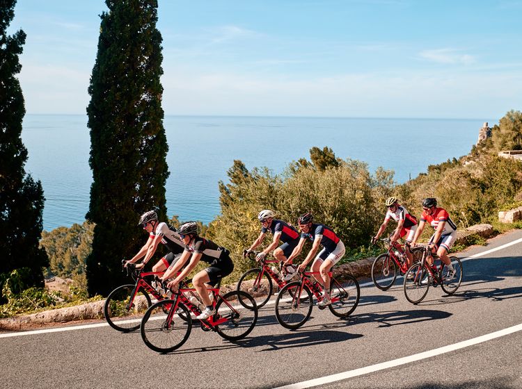 Radinsel Mallorca