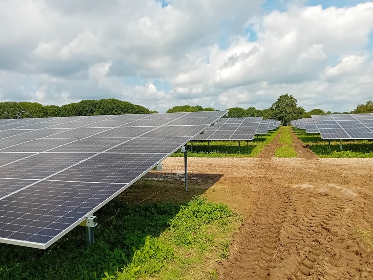 Our First Dutch Projects - AMPYR Solar Europe
