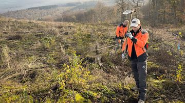 Arbeiter arbeiten mit Werkzeug im Wald