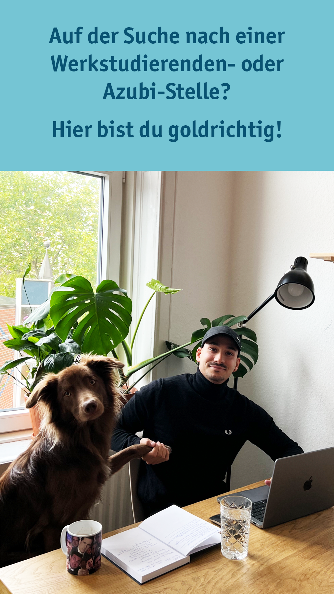 Karriere Azubis Werkstudierende