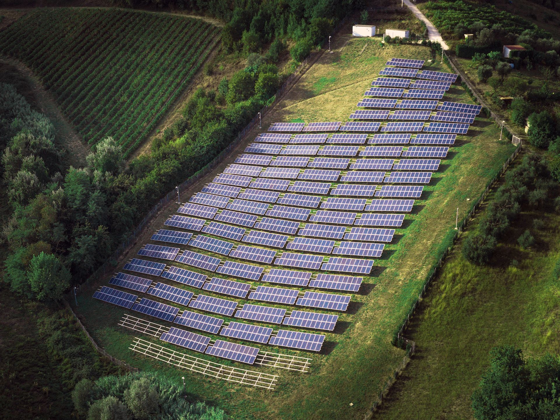 Photovoltaikanlage auf einem Feld