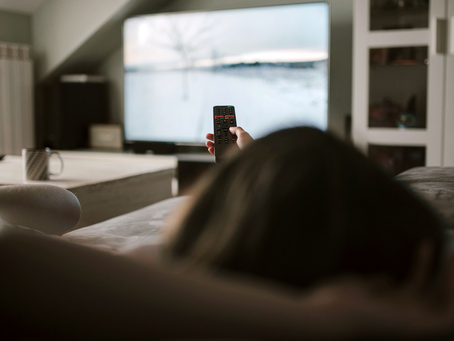 Plasmafernseher