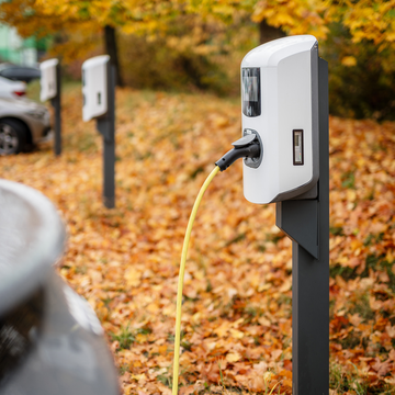 Nahaufnahme von Ladestation im Hintergrund Herbstlaub