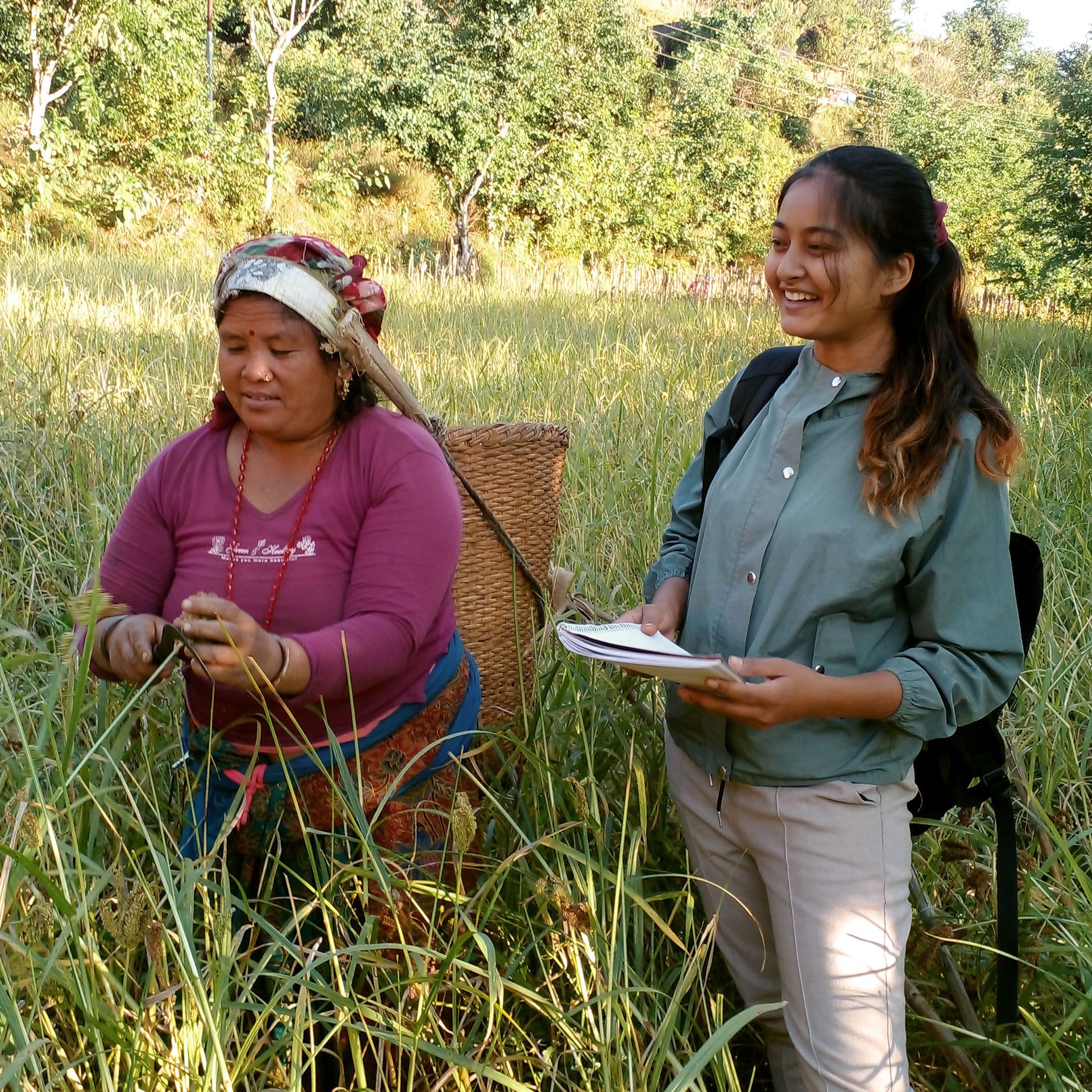 Nepal Arbeitsplätze
