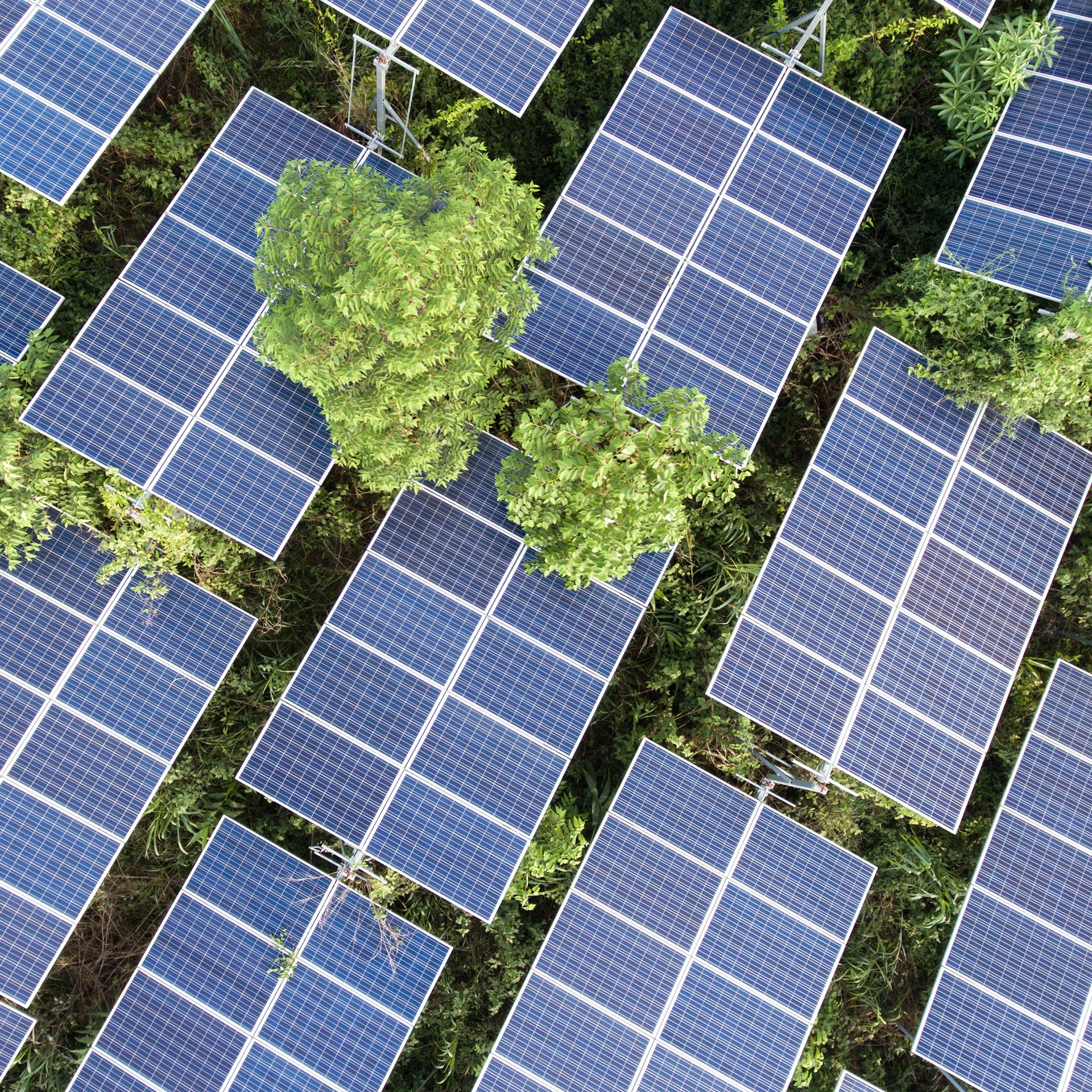 Solarpark