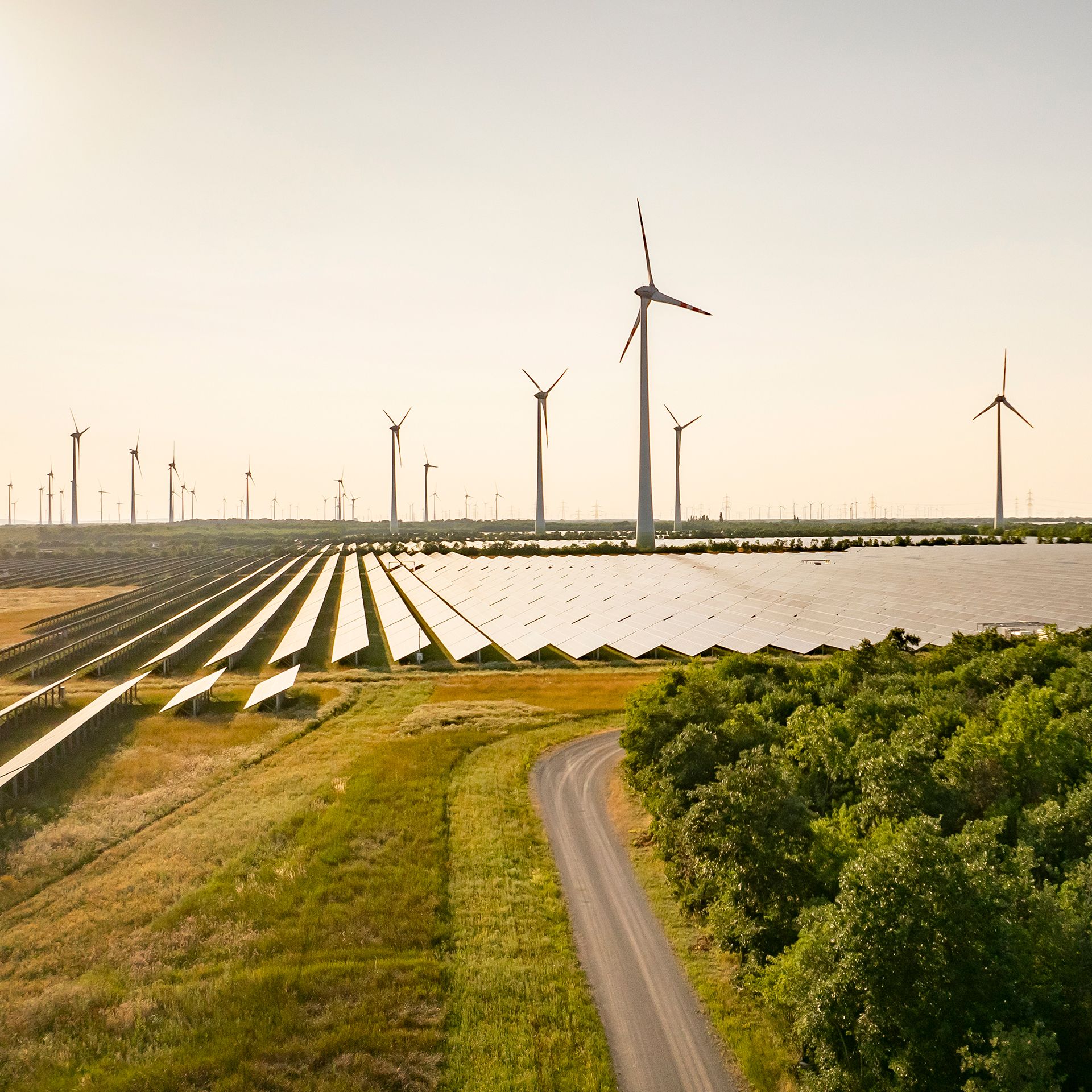 Solarpark in der Abendsonne